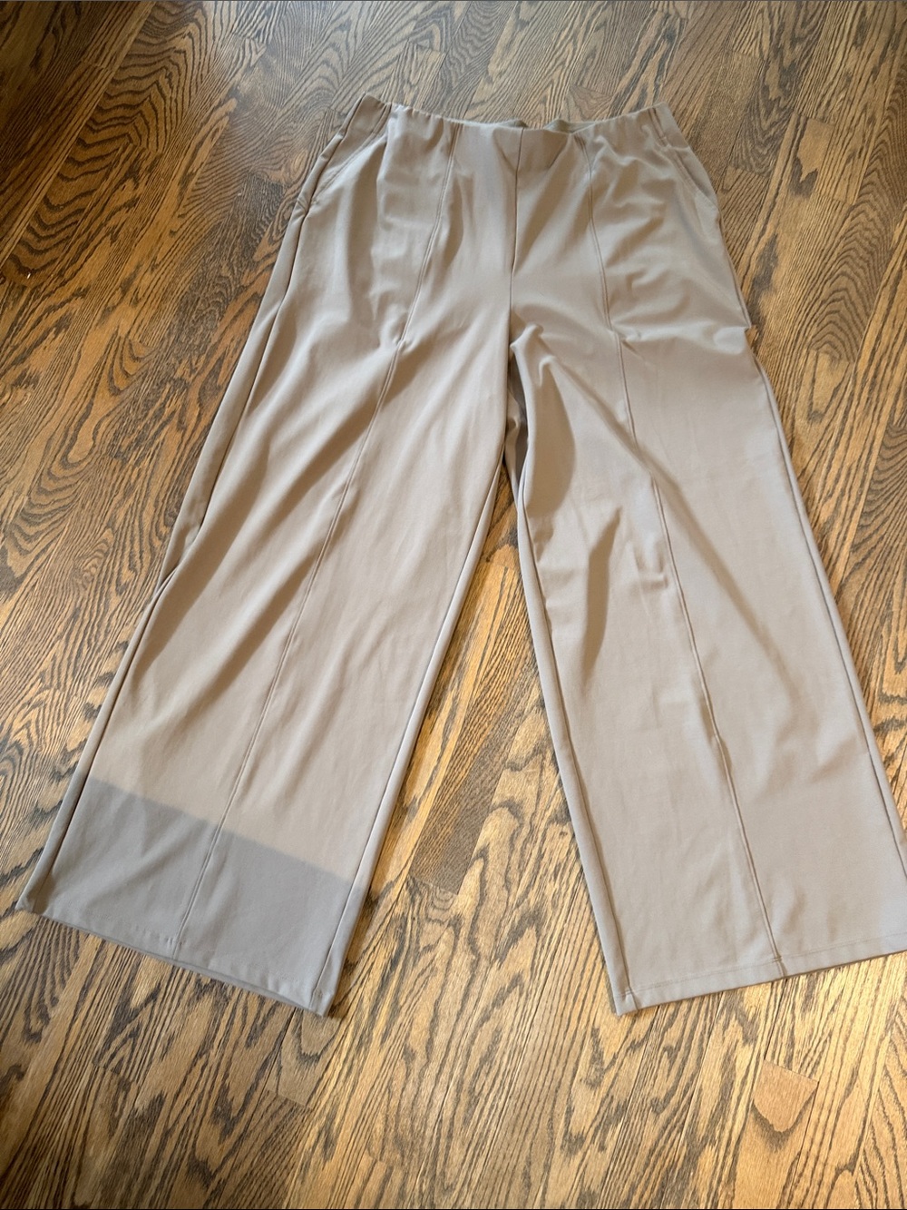 Women’s  Wide-Leg Dress Pants in Light Taupe